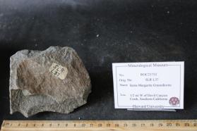 Granodiorite Porphyry of Santa Margarita Mountains