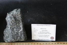 Noritic Hornblende Gabbro