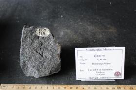Hornblende Norite