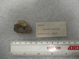 banded nodule