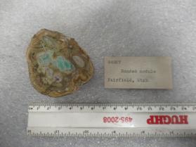 banded nodule