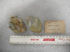 Hydroxylapatite
