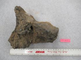 Arsenopyrite