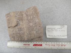 MICROCLINE
