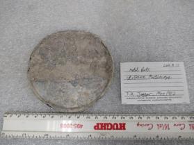 Metal Plate