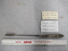 Marrow Spoon with Silver Handle