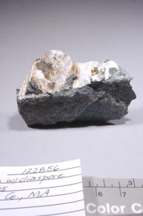 Amesite with Diaspore and Magnetite and RUTILE