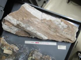 ZIRCON