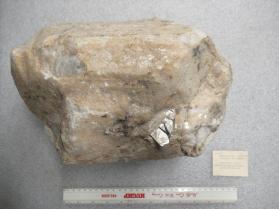 MONTEBRASITE