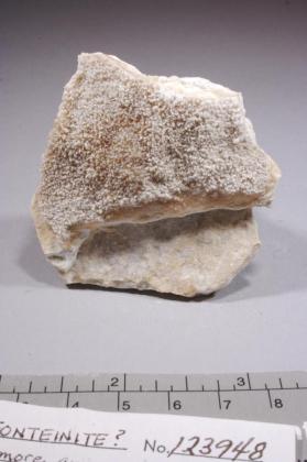 Bultfonteinite