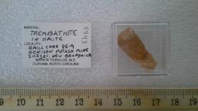 Trembathite In Halite Drill Core 86-9