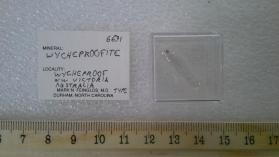 Wycheproofite