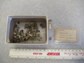 Yttrialite-(Y)