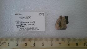 Tamaite
