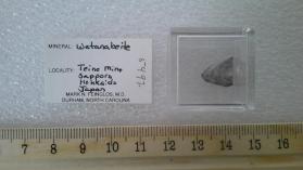 Watanabeite