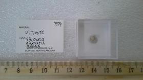 Vitimite