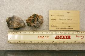 Lawsonite, crystals and massive in matrix