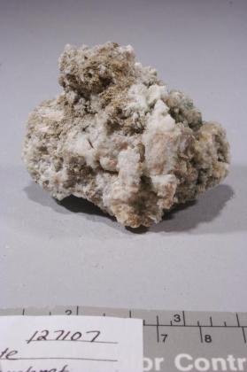 CALCITE with PREHNITE