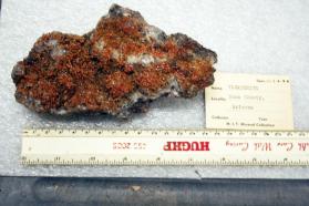 Vanadinite crystals on matrix