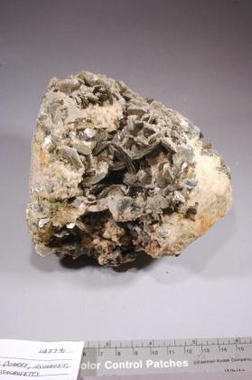 Muscovite