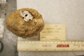 Chalcedony geode