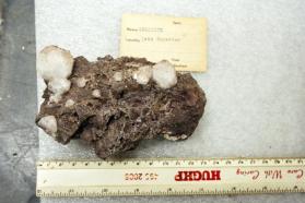 Analcime crystals on matrix