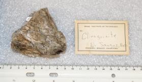 Clinozoisite crystals in Quartz