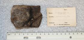 Cummingtonite in Quartzite