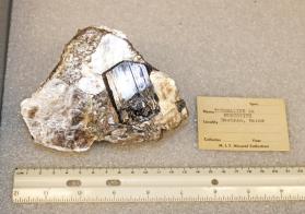 Schorl crystal in Pegmatite