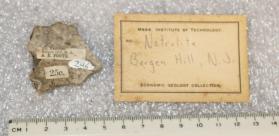 Natrolite crystals on matrix