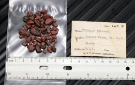 Cinnabar pebbles
