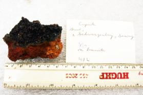 Cuprite crystals on Limonite