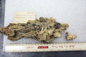 Stibconite var. Partzite