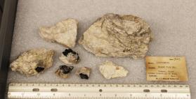 Chrysoberyl crystals with Almandine and Schorl in Pegmatite