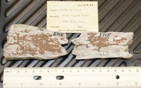 Copper on slate