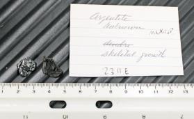 Acanthite skeletal growth crystals