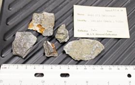 Calaverite in Phonolite