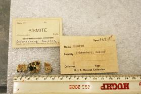 Bismite