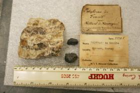 Polycrase-(Y) - Euxenite-(Y) series, crystals loose and in matrix