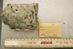 Actinolite