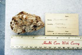Tourmaline crystals in Muscovite