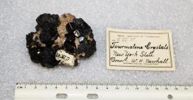 Dravite crystals in Quartz