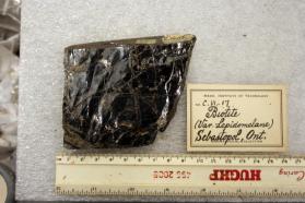 Biotite