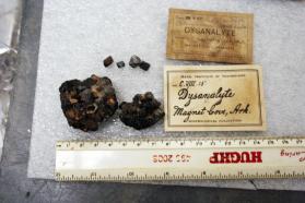 Perovskite var. Dysanalyte, loose crystals and in matrix