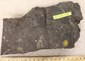 Mattapan Volcanic Complex