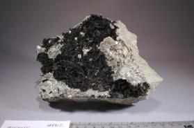 Muscovite