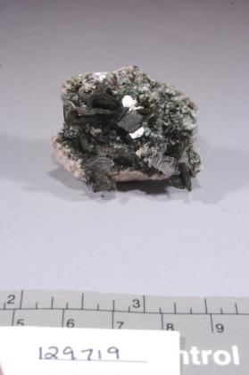 Muscovite