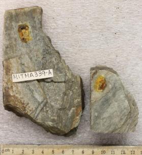 Woburn Formation (Leucorhyolite)