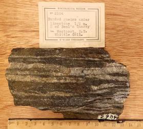 Banded gneiss