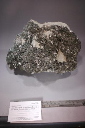 Muscovite